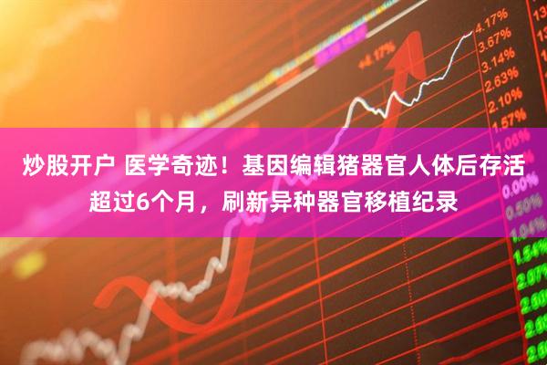 炒股开户 医学奇迹！基因编辑猪器官人体后存活超过6个月，刷新异种器官移植纪录