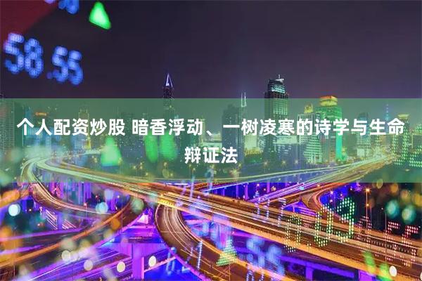 个人配资炒股 暗香浮动、一树凌寒的诗学与生命辩证法