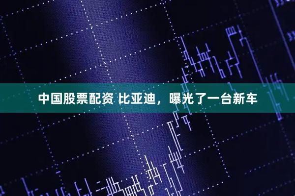 中国股票配资 比亚迪，曝光了一台新车