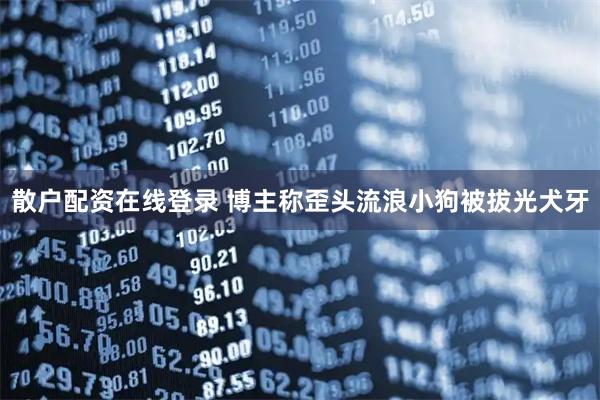 散户配资在线登录 博主称歪头流浪小狗被拔光犬牙