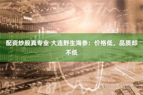 配资炒股真专业 大连野生海参：价格低，品质却不低