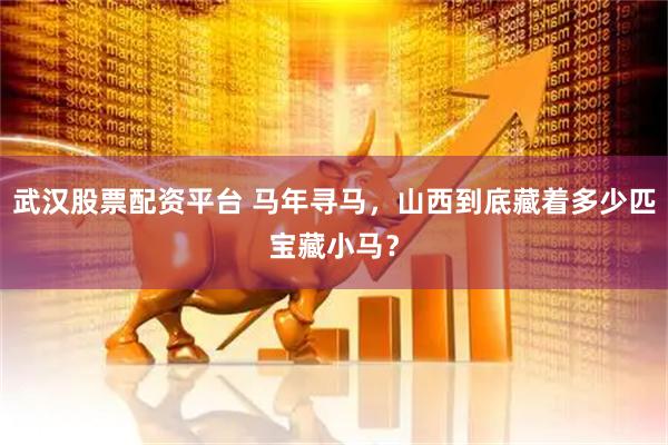 武汉股票配资平台 马年寻马，山西到底藏着多少匹宝藏小马？