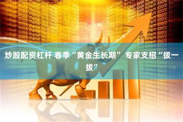 炒股配资杠杆 春季“黄金生长期” 专家支招“拔一拔”